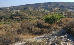 For sale, land, field, Limassol, agios therapon, 7,693m&sup2;, &euro;10,000 