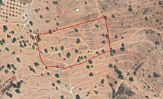 For sale, land, field, Limassol, Pachna, 23,078m&sup2;, &euro;15,000 