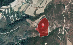 For sale, land, Paphos, theletra, 10,368m&sup2;, &euro;16,000 