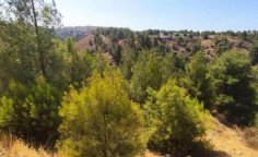 For sale, land, Nicosia, Kampia, 5,017m&sup2;, &euro;4,000 