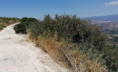 For sale, land, Paphos, theletra, 11,706m&sup2;, &euro;120,000 , Paphos