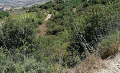 For sale, land, Paphos, theletra, 11,706m&sup2;, &euro;120,000 , Paphos
