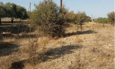 For sale, land, Nicosia, Pera, 2,342m&sup2;, &euro;47,000 , Nicosia