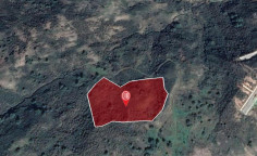 For sale, land, field, Nicosia, pigenia, 14,716m&sup2;, &euro;30,000 , Nicosia
