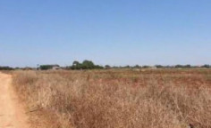 For sale, land, Famagusta, Liopetri, 4,609m&sup2;, &euro;65,000 , Famagusta