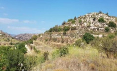 For sale, land, field, Limassol, Pachna, 10,034m&sup2;, &euro;15,000 