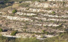 For sale, land, field, Limassol, Pachna, 10,034m&sup2;, &euro;15,000 