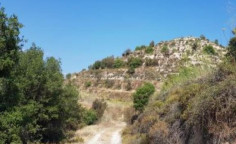 For sale, land, field, Limassol, Pachna, 10,034m&sup2;, &euro;15,000 
