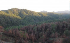 For sale, land, Nicosia, Kampia, 21,786m&sup2;, &euro;33,000 
