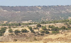 For sale, land, Limassol, Lofou, 26,757m&sup2;, &euro;20,000 