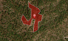 For sale, land, Nicosia, Politiko, 12,375m&sup2;, &euro;11,000 