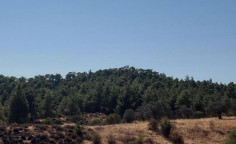 For sale, land, Nicosia, Politiko, 12,710m&sup2;, &euro;11,000 