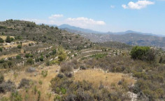 For sale, land, Limassol, Silikou, 11,037m&sup2;, &euro;10,000 