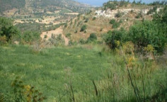 For sale, land, Paphos, Lysos, 9,365m&sup2;, &euro;80,000 