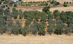 For sale, land, Nicosia, Astromeritis, 3,345m&sup2;, &euro;67,000 , Nicosia