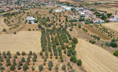 For sale, land, Nicosia, Astromeritis, 3,345m&sup2;, &euro;67,000 , Nicosia