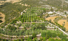 For sale, land, Larnaca, Skarinou, 9,763m&sup2;, &euro;20,000 