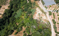 For sale, land, Paphos, Kissonerga, 11,725m&sup2;, &euro;160,000 