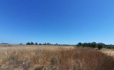 For sale, land, Famagusta, Frenaros, 4,590m&sup2;, &euro;28,000 