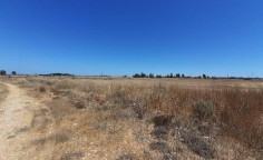 For sale, land, Famagusta, Frenaros, 4,590m², €28,000 For sale, land, Famagusta, Frenaros, 4,590m², €28,000
