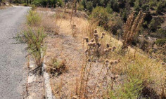 For sale, land, Nicosia, Evrychou, 624m&sup2;, &euro;47,000 , Nicosia