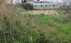 For sale, land, field, Limassol, Pissouri, 1,264m&sup2;, &euro;50,000 , Limassol