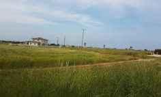 For sale, land, Famagusta, Frenaros, 16,587m², €550,000 , Famagusta For sale, land, Famagusta, Frenaros, 16,587m², €550,000 , Famagusta