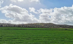 For sale, land, Paphos, Polemi, 5,486m², €50,000 For sale, land, Paphos, Polemi, 5,486m², €50,000