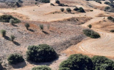 For sale, land, Larnaca, Vavla, 4,014m&sup2;, &euro;10,000 