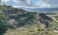 For sale, land, field, Limassol, Pachna, 12,710m&sup2;, &euro;16,000 
