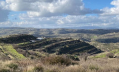 For sale, land, field, Limassol, Pachna, 12,710m&sup2;, &euro;16,000 