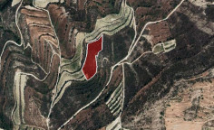 For sale, land, field, Limassol, Pachna, 6,857m&sup2;, &euro;13,000 