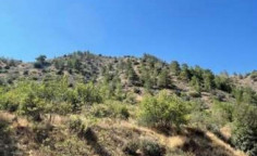For sale, land, Nicosia, farmakas, 17,114m&sup2;, &euro;26,000 