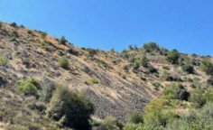 For sale, land, Nicosia, farmakas, 17,114m&sup2;, &euro;26,000 