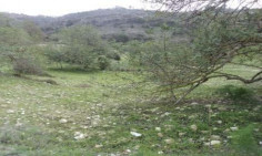 For sale, land, Paphos, Koili, 8,027m&sup2;, &euro;249,000 , Paphos