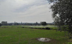 For sale, land, Nicosia, Psimolofou, 2,583m&sup2;, &euro;130,000 , Nicosia