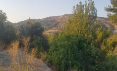For sale, land, Limassol, Asgata, 5,017m&sup2;, &euro;100,000 , Limassol