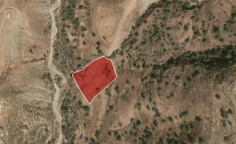 For sale, land, field, Paphos, Pegeia, 5,686m&sup2;, &euro;12,000 