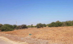 For sale, land, field, Famagusta, Paralimni, 6,932m&sup2;, &euro;145,000 , Famagusta
