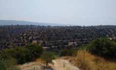 For sale, land, Limassol, Apesia, 25,084m&sup2;, &euro;88,000 