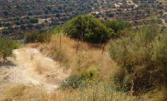 For sale, land, Limassol, Apesia, 25,084m&sup2;, &euro;88,000 