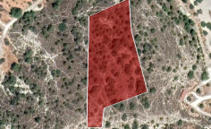 For sale, land, Larnaca, Alethriko, 5,389m&sup2;, &euro;19,000 