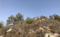 For sale, land, Larnaca, Alethriko, 5,389m&sup2;, &euro;19,000 