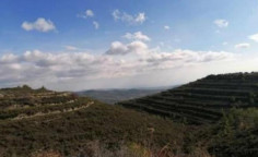 For sale, land, Limassol, Silikou, 18,702m&sup2;, &euro;35,000 