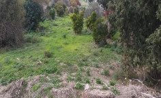 For sale, land, Limassol, Monagroulli, 7,002m&sup2;, &euro;40,000 , Limassol