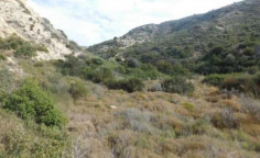 For sale, land, field, Limassol, Pissouri, 16,723m&sup2;, &euro;11,000 