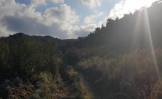 For sale, land, field, Nicosia, pigenia, 27,425m&sup2;, &euro;181,000 , Nicosia