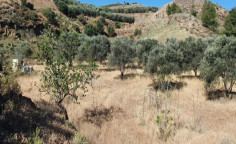 For sale, land, Nicosia, Kampia, 4,014m&sup2;, &euro;28,000 