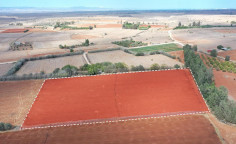 For sale, land, Famagusta, Avgorou, 14,137m&sup2;, &euro;75,000 