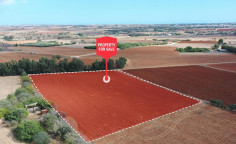 For sale, land, Famagusta, Avgorou, 14,137m&sup2;, &euro;75,000 